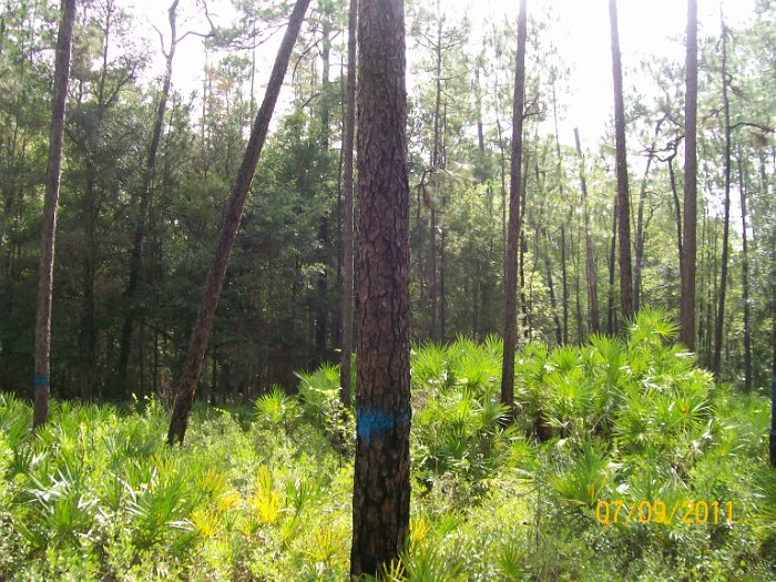 2011-Jul-09_HGR4X4_Richloam_P1 019